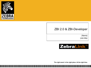 ZBI 2.0 and ZBI Developer