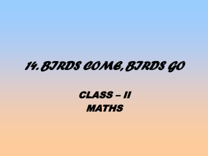 14. BIRDS COME, BIRDS GO