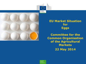 EU Imports of Eggs