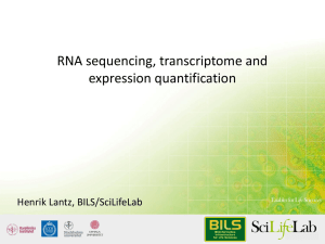 RNA sequencing, transcriptome and expression