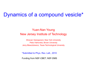 Dynamics of a compound vesicle: Small deformation analysis