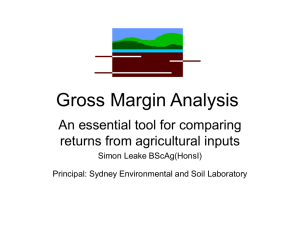 Gross Margin Analysis