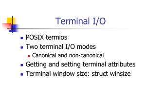 Terminal I/O