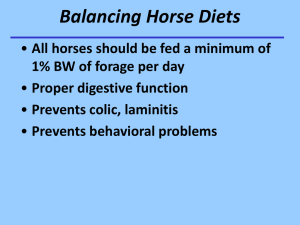 Powerpoint on Balancing Horse Diets