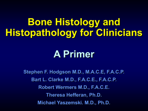 Bone Histology & Histopathology for Clinicians