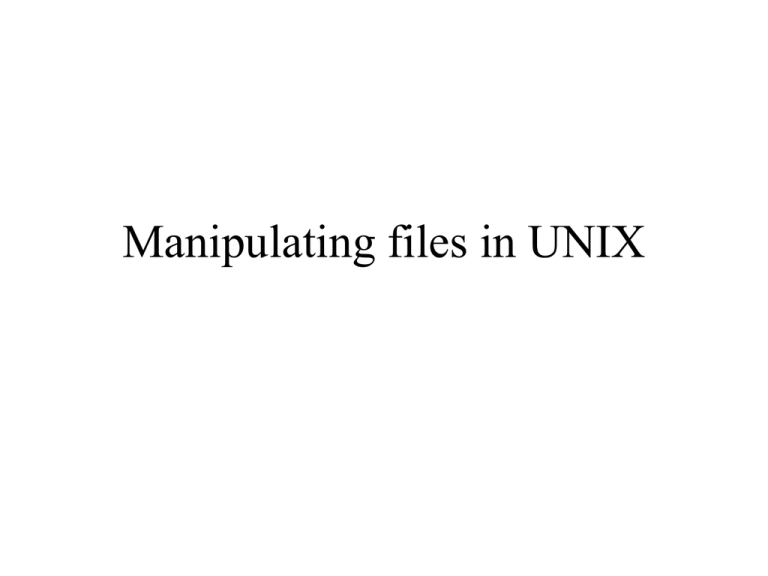 Manipulating Files In UNIX