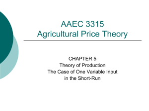 Theory of Production - Department of Agricultural and Applied