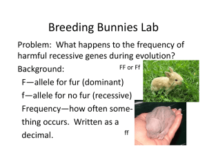 Breeding Bunnies Lab