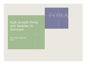 High Growth Firms and Gazelles in Denmark