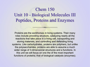 Chem 150 Unit 10 - Biological Molecules III Peptides, Proteins and