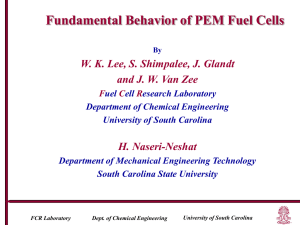 PEM fuel cell_numerical_061101