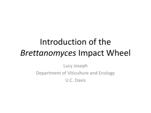 Introduction of the Brettanomyces Impact Wheel