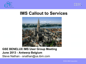 IMS Callout to services