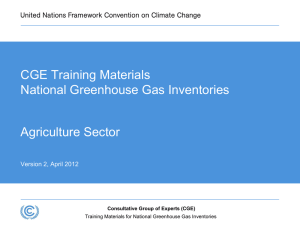 CGE Greenhouse Gas Inventory Hands-on Training Workshop