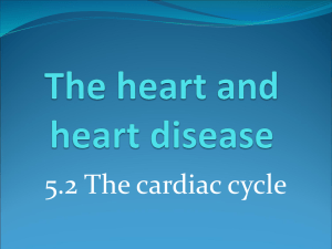 5.2 The cardiac cycle