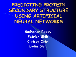Protein Secondary Structure