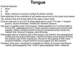 Tongue - Student Life