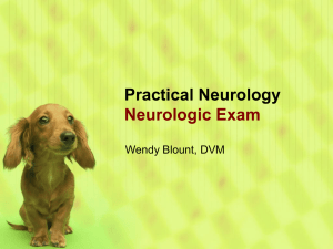 The Neurologic Exam