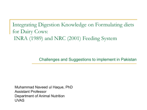 Integrating Digestion Knowledge on Formulating diets for Dairy Cows