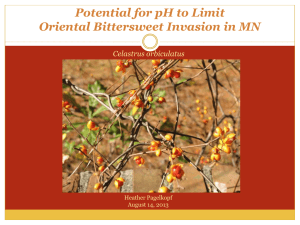 Potential for pH to Limit Oriental Bittersweet Invasion in MN