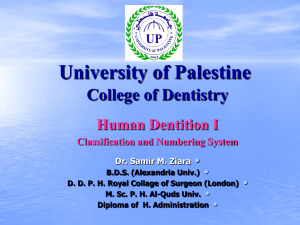 3-9_anterior_premolar - University of Palestine Open