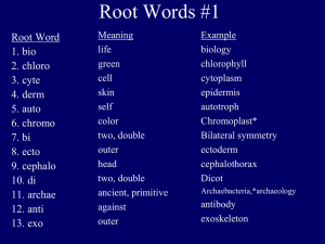 Root Word Lists