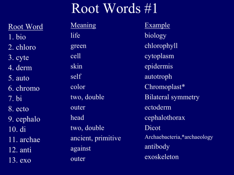 What Does The Root Word Bi Mean