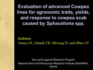 2. Evaluation of advanced Cowpea lines for - National Semi