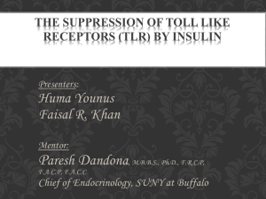 The Suppression of Toll Like receptors (TLR) by Insulin