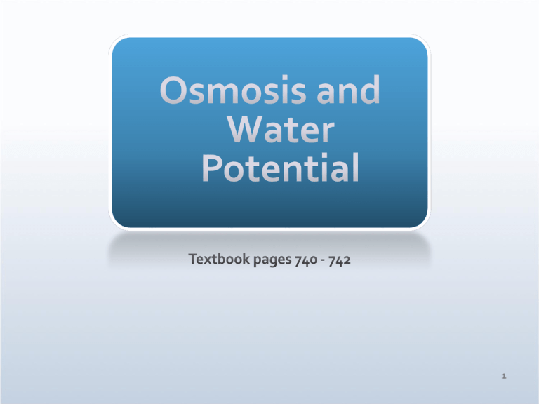 Why Is Water Potential Always Negative