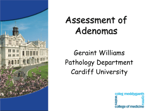 Geraint Williams (Cardiff) - Virtual Pathology at the University of Leeds