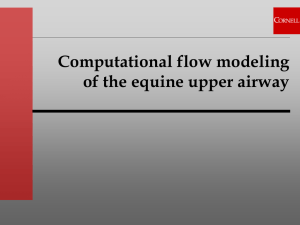 Horse Airflow Model