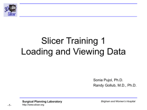 Loading and Viewing Data - National Alliance for Medical Image