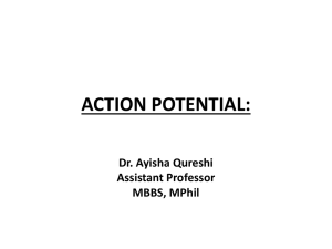 Action Potential - MBBS Students Club
