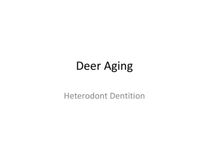 Deer Aging Lab - Champaign Unit 4 Schools