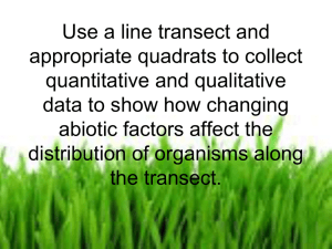 Line transect