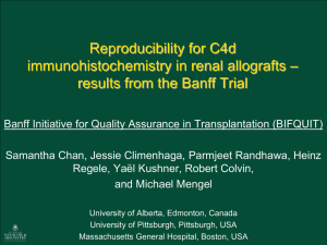results from the Banff Trial (PPT / 2226.5 KB)