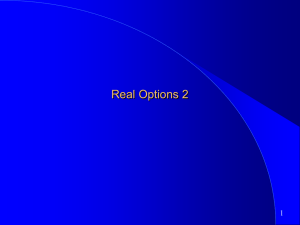 Real Options 2: A test