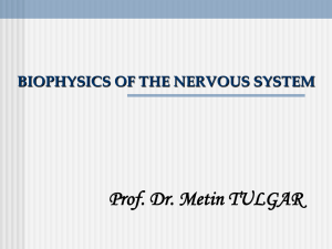 1. Biophysics of the Nervous System