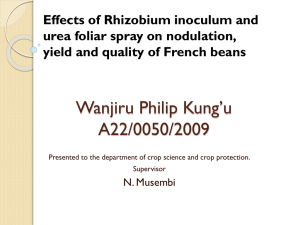 Effects of Rhizobium inoculum and urea foliar spray on nodulation