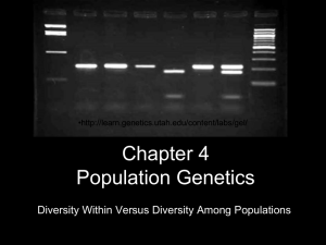 Chapter 4 Population Genetics