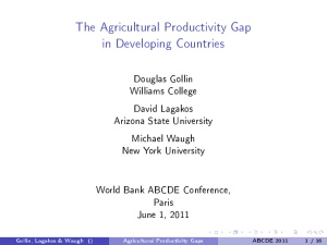 The Agricultural Productivity Gap in Developing Countries