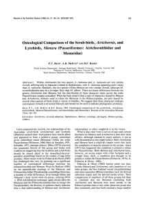 Osteological Comparison of the Scrub