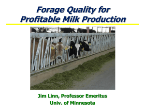 Forage in Lactation Diets, PowerPoint Presentation