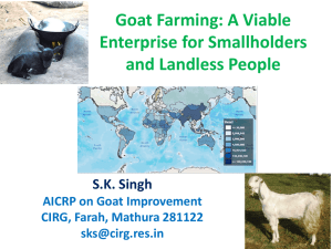 A Viable Enterprise for Smallholders and Landless People