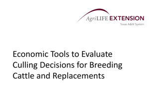 Economic Tools to Evaluate Culling Decisions for Breeding Cattle