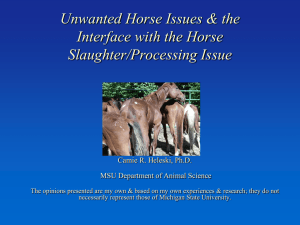 The Unwanted Horse - Michigan Veterinary Medical Association