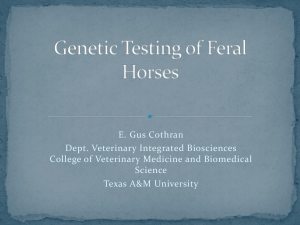Genetic Testing of Feral Horses - American Wild Horse Preservation