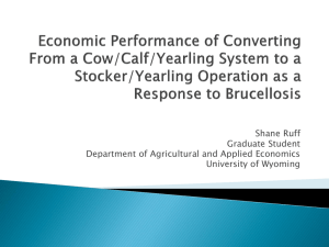 Economic Performance of Converting From a Cow/Calf/Yearling