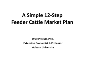 A Simple 12-Step Feeder Cattle Market Plan Walt Prevatt, PhD